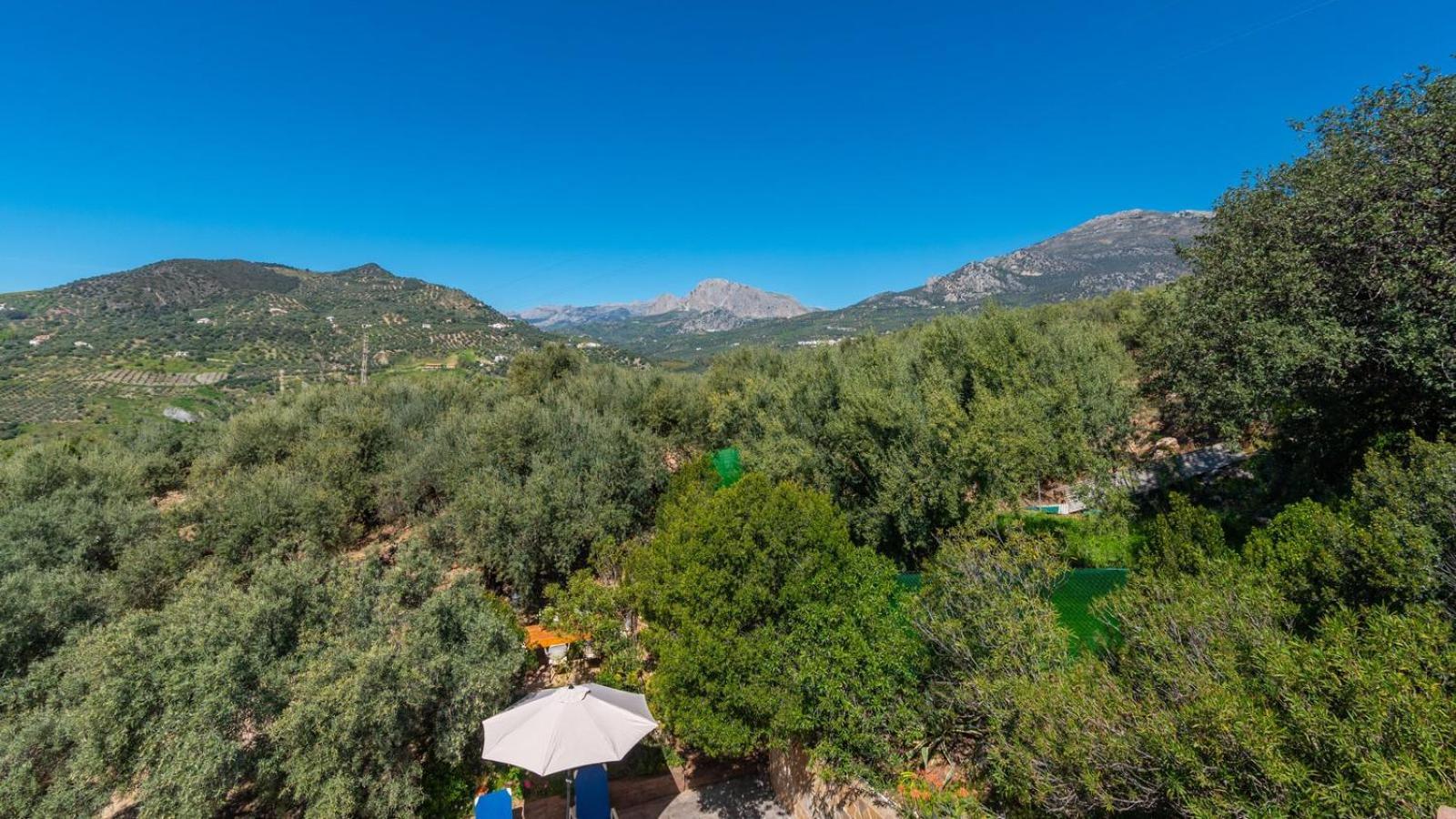 Villa Casa Ana Maria Periana By Ruralidays Extérieur photo
